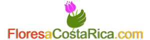 floresacostarica.com